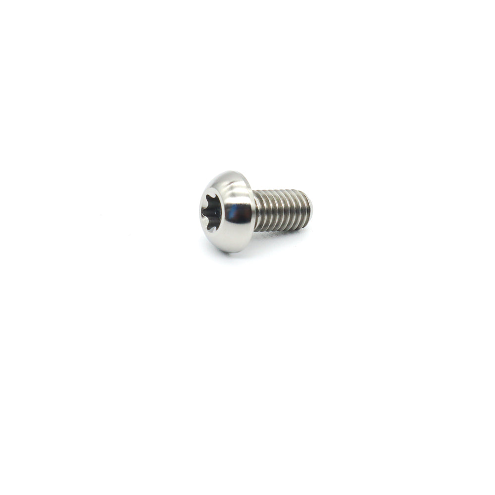 Titanium Bicycle Disc Rotor Bolts M5×10mm (0.8) T25