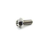 Titanium Flange Hex Bolt M8×20mm(1.25) 16mm O/D