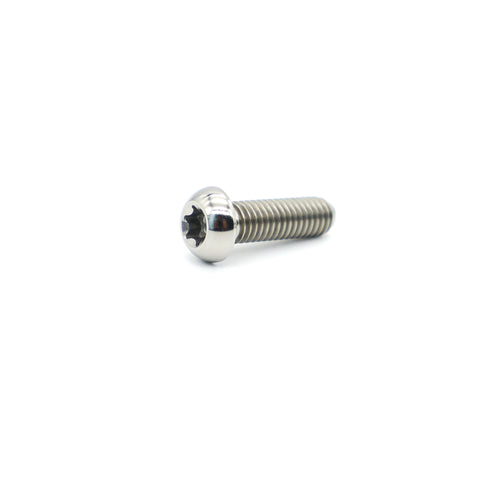 Titanium BMW Disc Rotor Bolt M6×18mm Torx